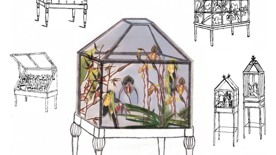 ESTONIA2_Bita Razavi. Sketch for Wardian Cases, 2022, conceptualized display cases for Orchidelirium. An Appetite for Abundance. Courtesy of the artist